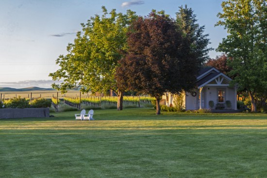 bunkhouselawnvineyard